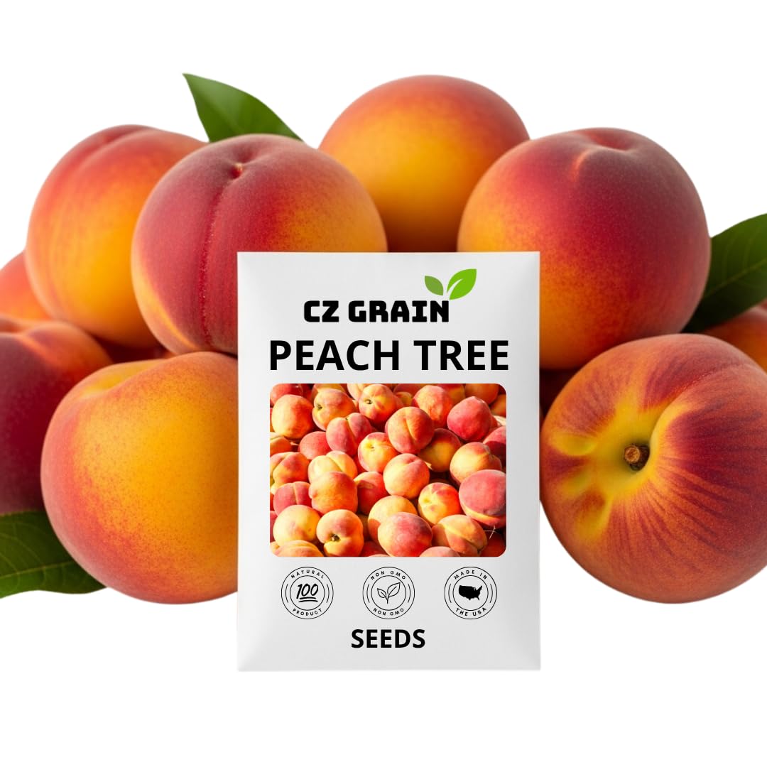 Amazon.com : 5 Peach Tree Seeds – Easy to Grow, Hardy, Delicious